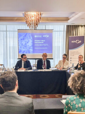 Roundtable discussion with the UN High Commissioner for Human Rights